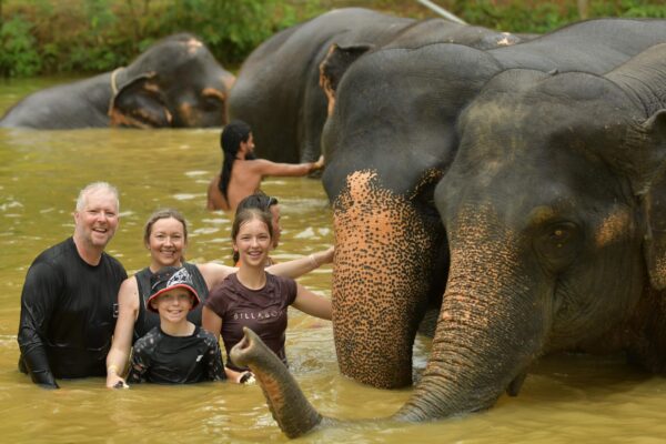 elephant jungle sanctuary tours